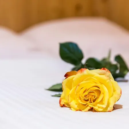 Danuska -znana I Lubiana 3*