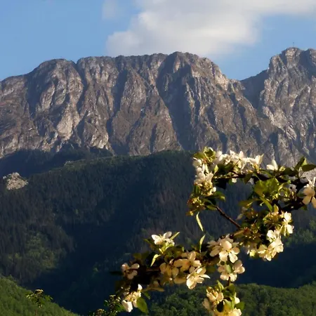 Bed and Breakfast Danuska -znana I Lubiana