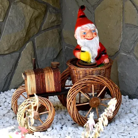 Danuska -znana I Lubiana Poronin