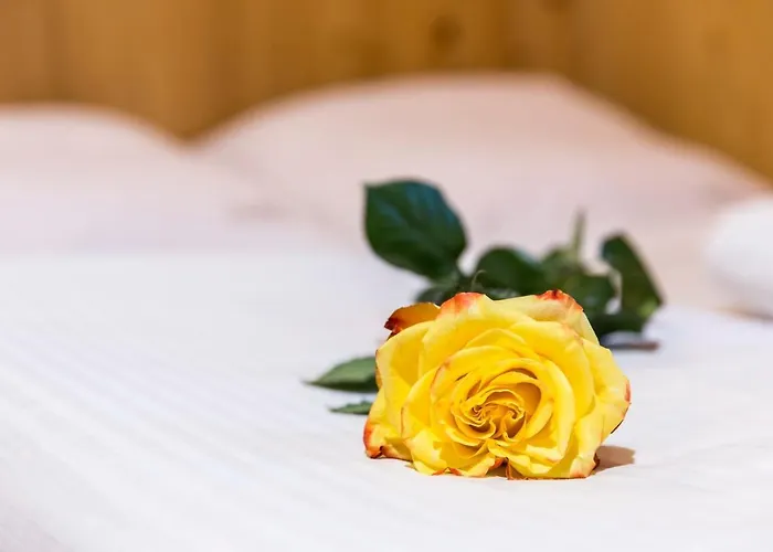 Danuska -znana I Lubiana 3*